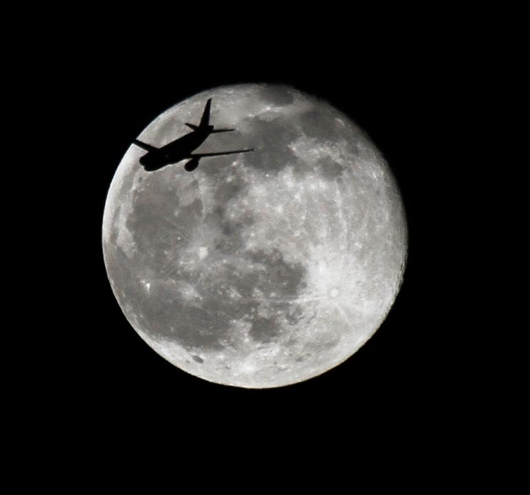 Moon with fly by | Shutterbug